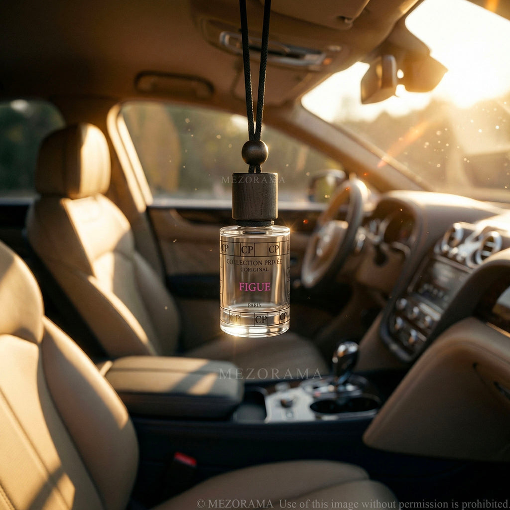 Car Perfume, Fig Scent, Car Hanging Diffuser, 10ml